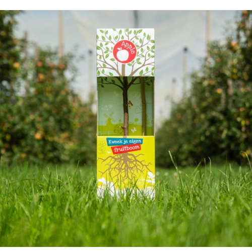 Baby Tree fruit tree gift - Image 3
